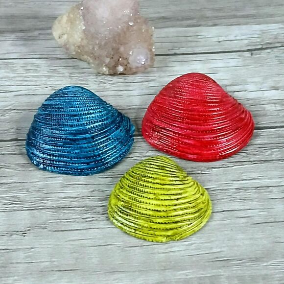 3 Piece Assorted Seashells, Craft Supplies, Nautical Florida Shells OOAK - Picture 3 of 4